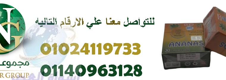 ماجيستيك اناناس الجديد للتخسيس01024119733