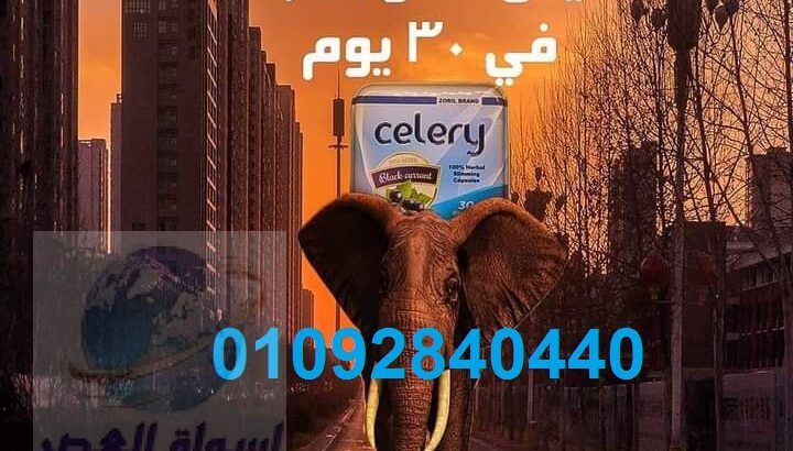 كبسولات سيلرى للتخسيس