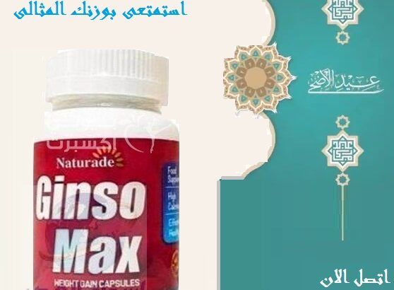 كبسولات هتزودك بشكل امن و فعال Ginso max