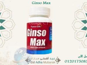 كبسولات هتزودك بشكل امن و فعال Ginso max