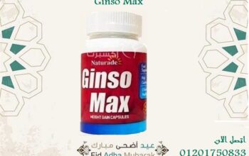 كبسولات هتزودك بشكل امن و فعال Ginso max