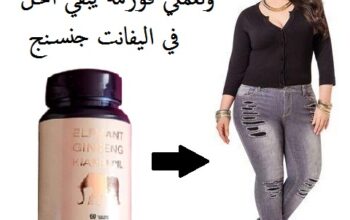 اليفانت جنسنج لفتح الشهيه وتسمين الجسم