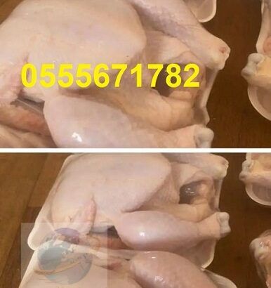 دجاج لاحم لذيذ فى السعودية