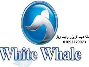 اقرب صيانة غسالات وايت ويل كفر الشيخ 01023140280