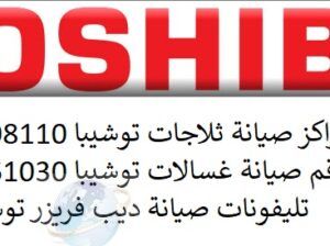شركة ثلاجات toshiba بالقاهرة 01220261030