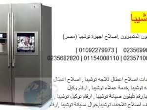 رقم تليفون صيانة ثلاجات توشيبا بنها 01223179993