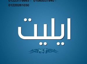 مركز ثلاجات ايديال ايليت زهراء المعادي 01112124913