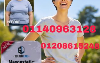 ميزو ستيك – طاقتك في كبسولة01208615248