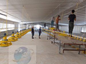 حظائر دواجن