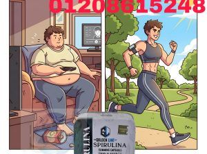 كبسولات سبيرولينا السحرية للتخسيس 01208615248